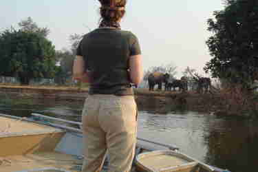 Fishing Zambezi River