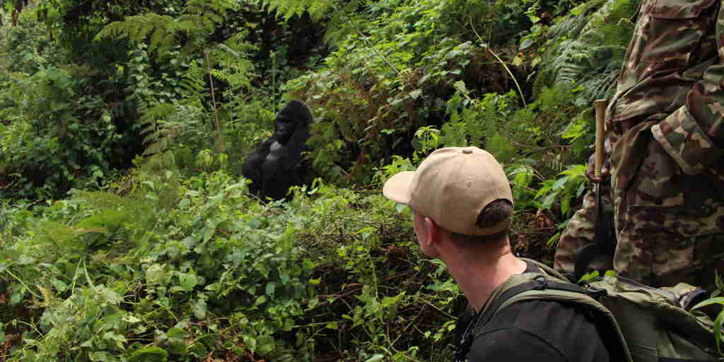 Matt Court, Gorilla Trekking, Meet the Team 