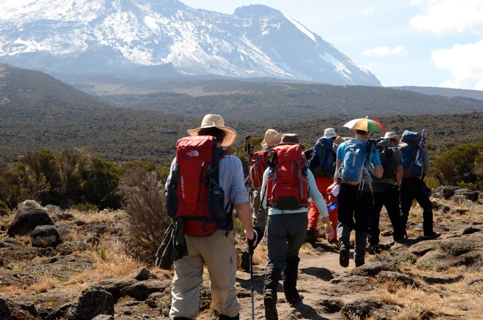 Lemosho Route, Mount Kilimanjaro, Experiences, Tanzania