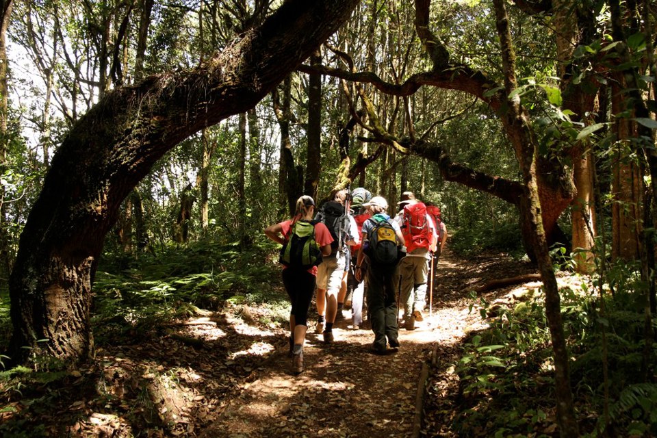 Climbing Kilimanjaro, Experiences, Tanzania