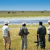 Luxury African Safari Holidays & Tours | Yellow Zebra Safaris