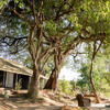 Vundu camp room