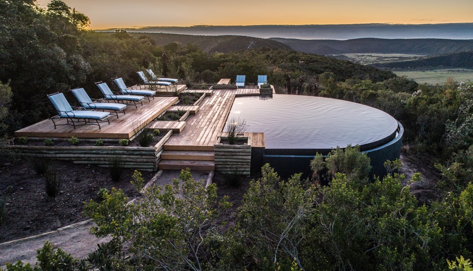evening views ukhozi lodge kariega south africa yellow zebra safaris