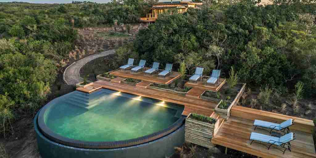 swimming pool ukhozi lodge kariega south africa yellow zebra safaris