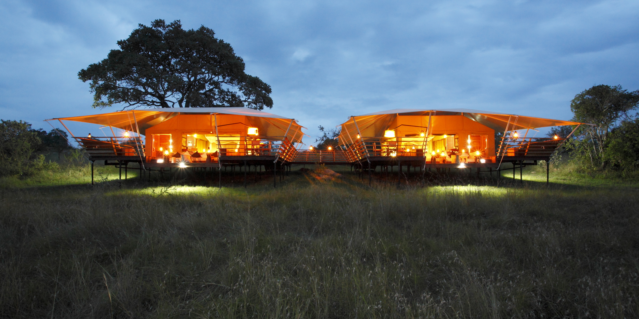 family tents serengeti bushtops game drive tanzania yellow zebra safaris