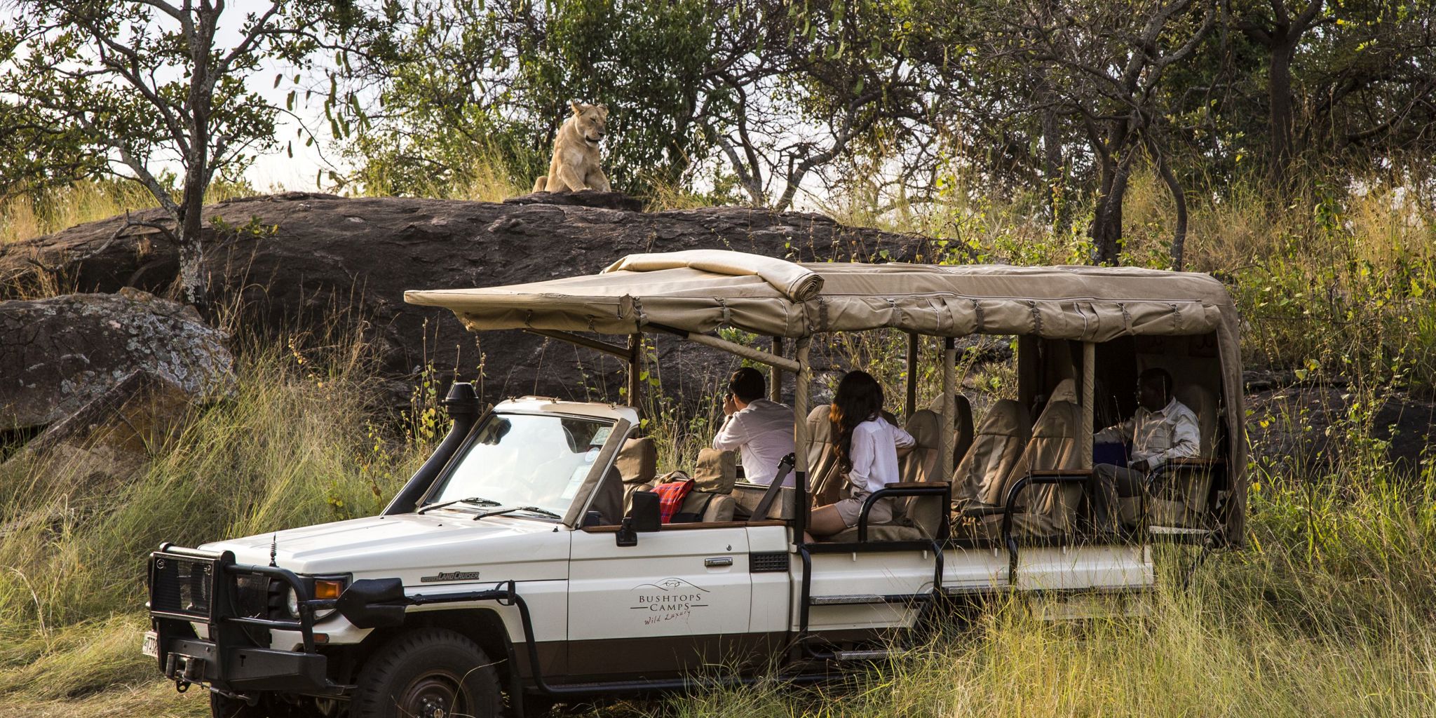 serengeti bushtops game drive safar tanzania yellow zebra safaris