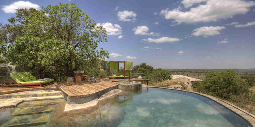 swimming pool serengeti bushtops game drive tanzania yellow zebra safaris