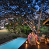 Private dining andbeyond phinda vlei lodge south africa yellow zebra safaris