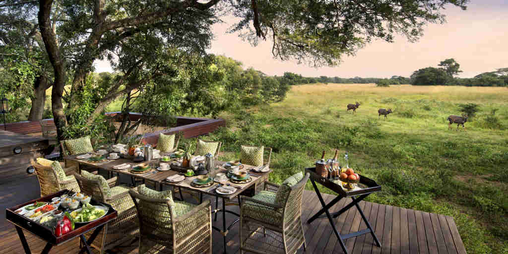 views guest area andbeyond phinda vlei lodge south africa yellow zebra safaris