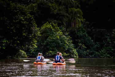 kayak river odzala discovery camps  congo yellow zebra safaris