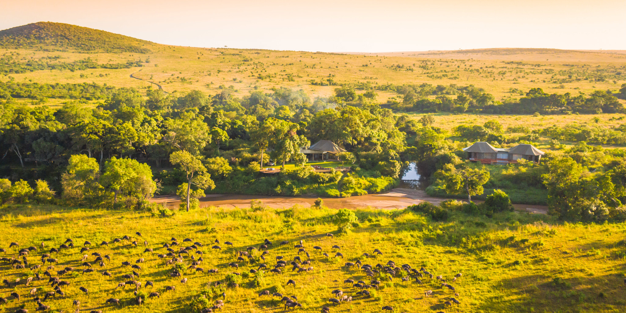 great migration at salas camp kenya