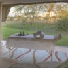 Solio Lodge Luxury Lodges in Laikipia, Kenya Yellow Zebra Safaris