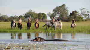 Horseback Safari, Macatoo Camp, Okavango Delta, Botswana