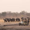 the hide animals zimbabwe