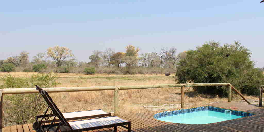 Sango safari pool Botswana