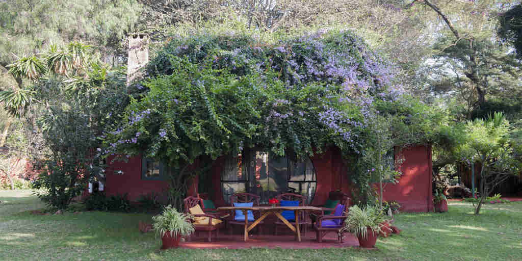 olerai house flowers outside kenya