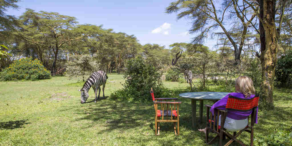 olerai house outdoor zebra kenya