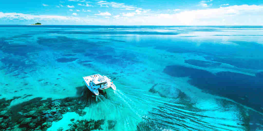 BlueSafari alphonse ocean cruising seychelles