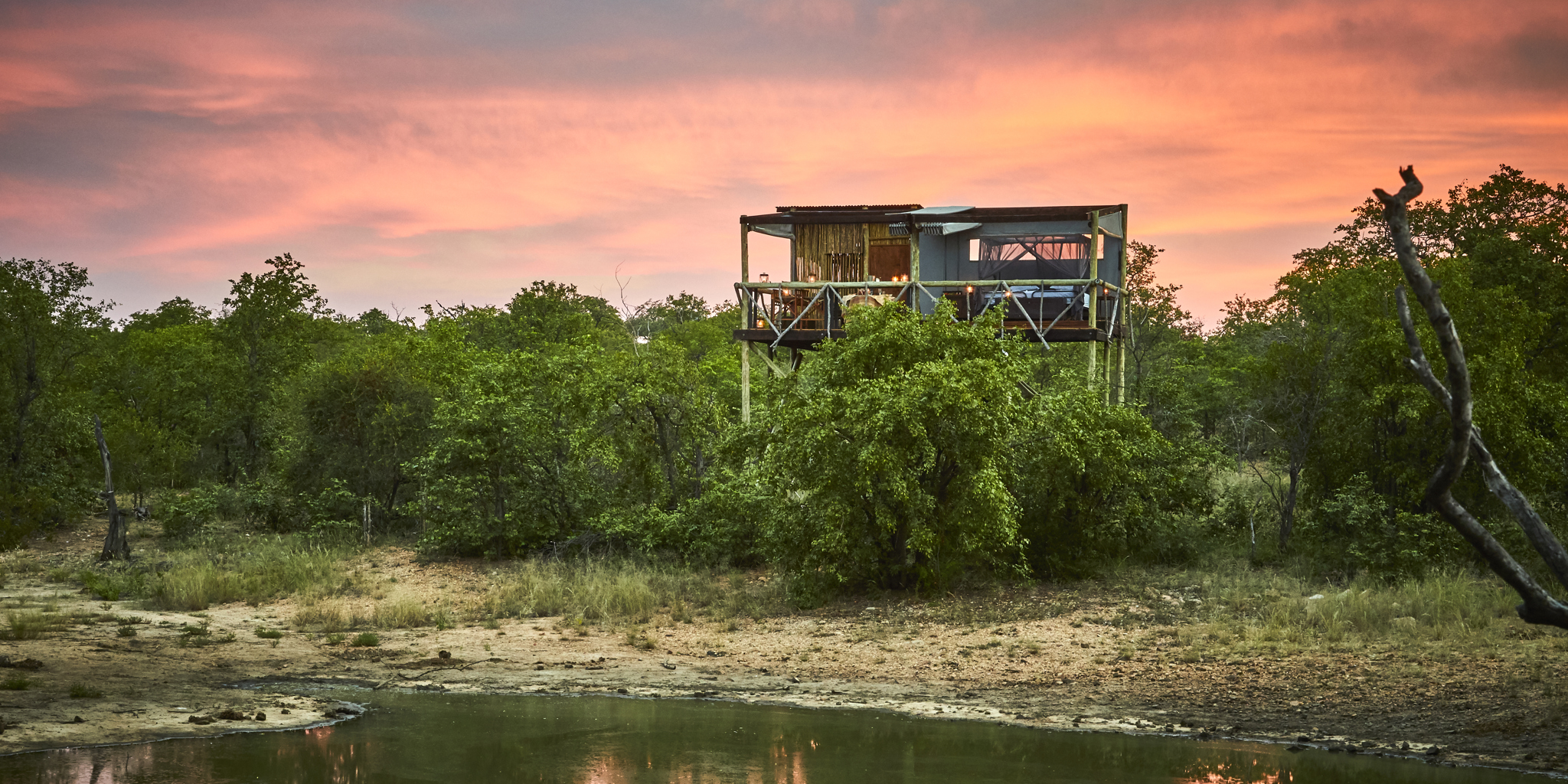Motswari Private Game Reserve Giraffes Nest (3)