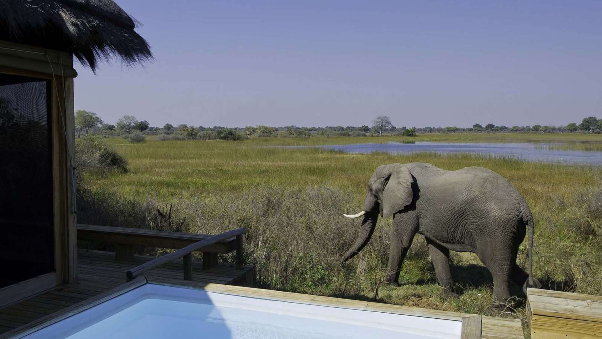 Vumbura Plains Camp 2011 07 023 1600x1200