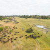 Camp Xakanaxa migration