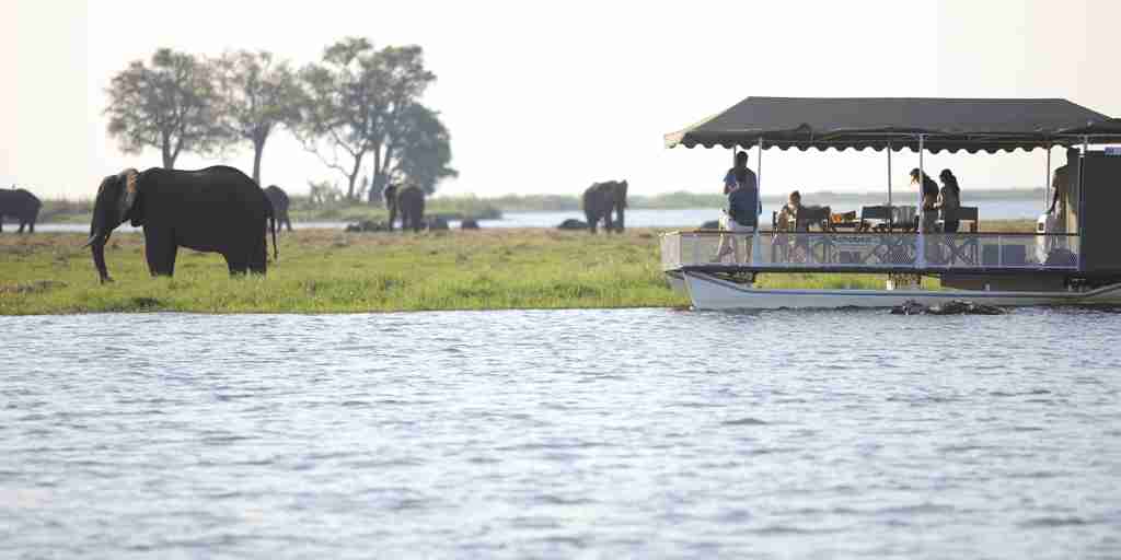 &Beyond Chobe Under Canvas elephants river
