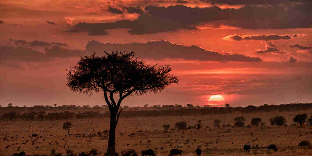 Sunset, Esirai Camp, Serengeri NP, Tanzania