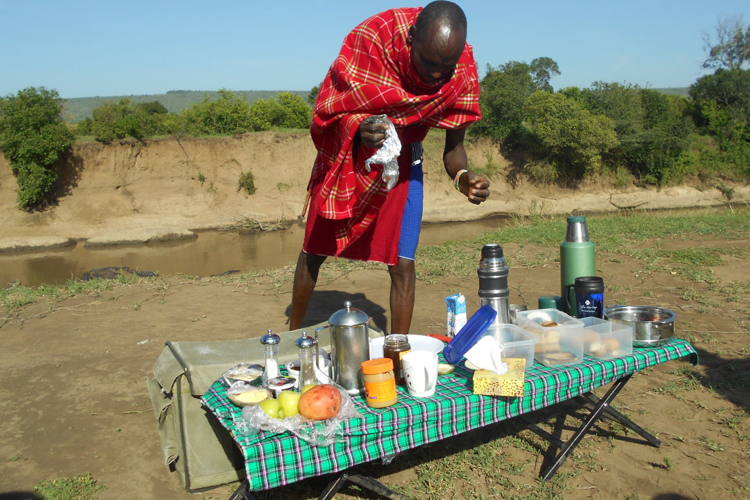 greg client review yellow zebra safari kenya 32