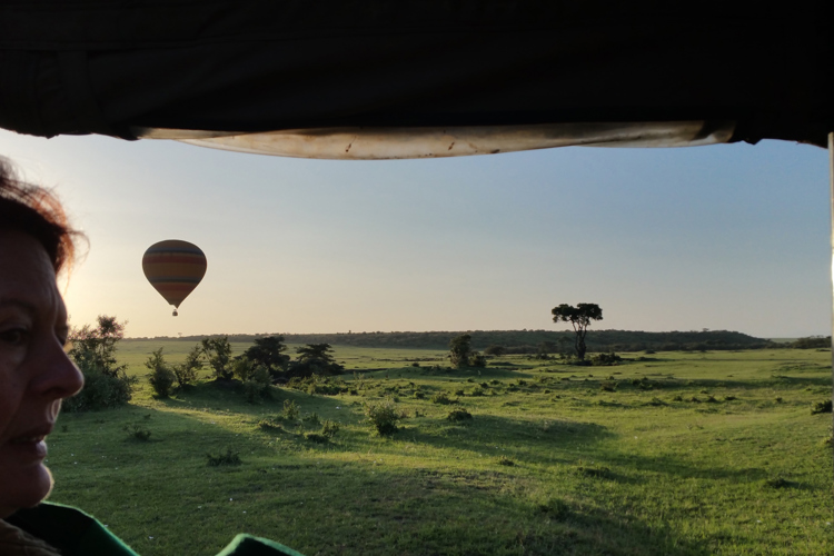greg client review yellow zebra safari kenya 43