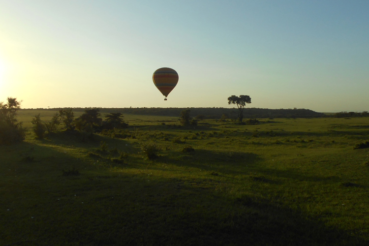 greg client review yellow zebra safari kenya 44
