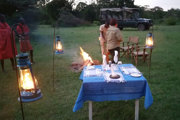 greg client review yellow zebra safari kenya 48