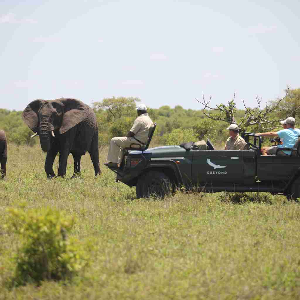 andBeyond Ngala Safari Lodge Game Drive