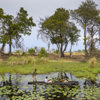 Duba Explorers Camp mokro