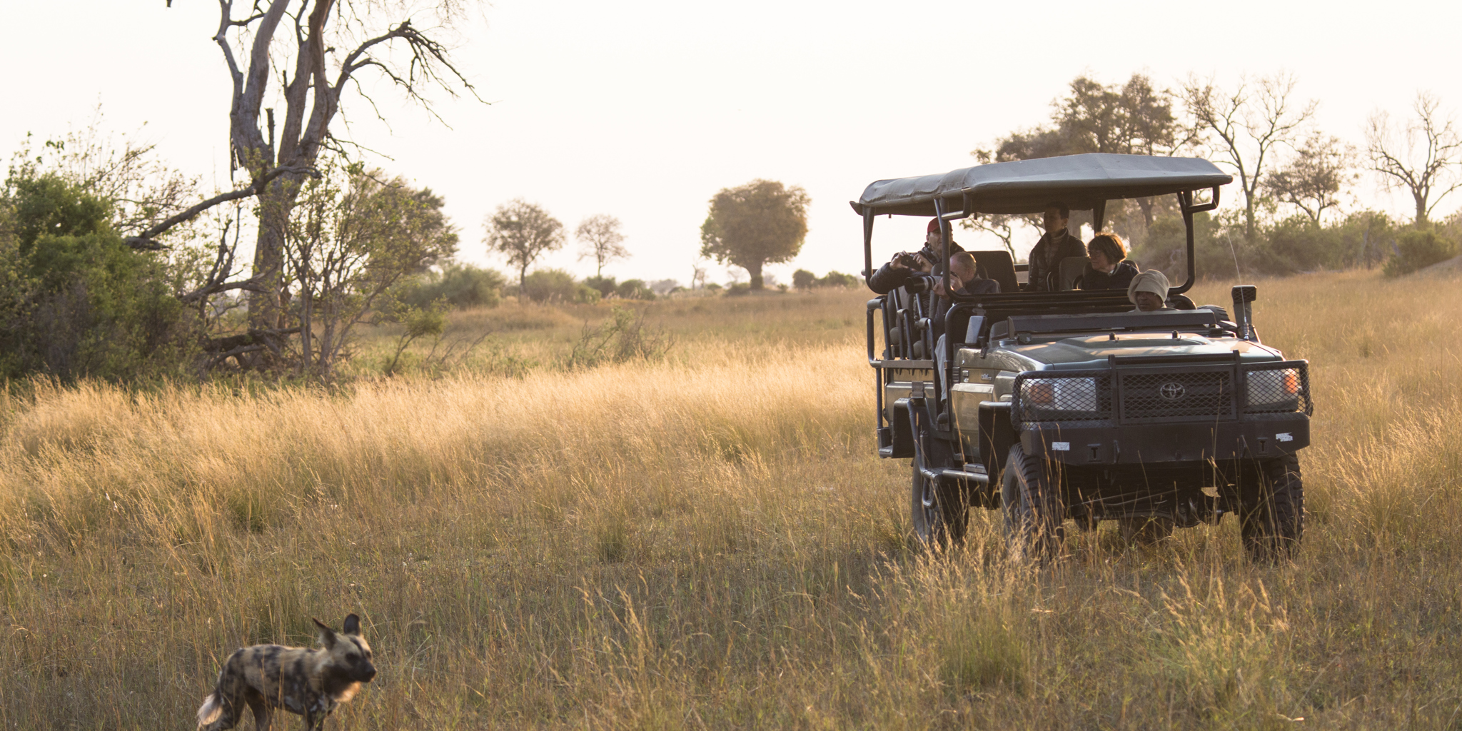 Duba Explorers Camp game drives