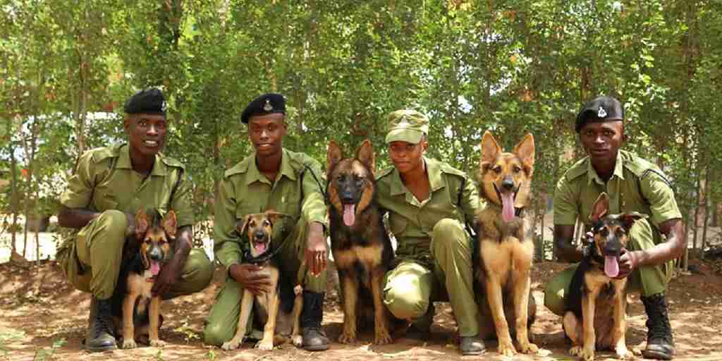 Dog Detection Unit, PAMS, Charity Focus, Tanzania 