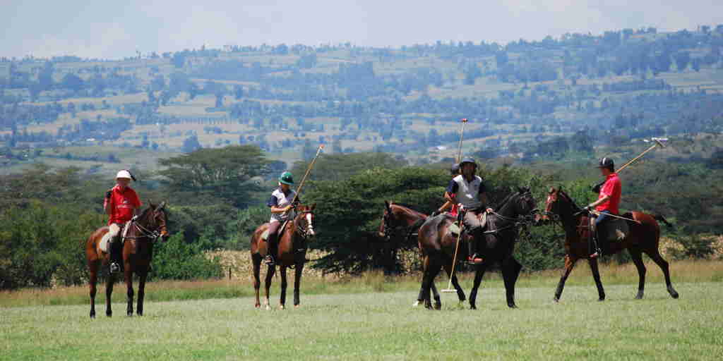 Offbeat Safaris   polo