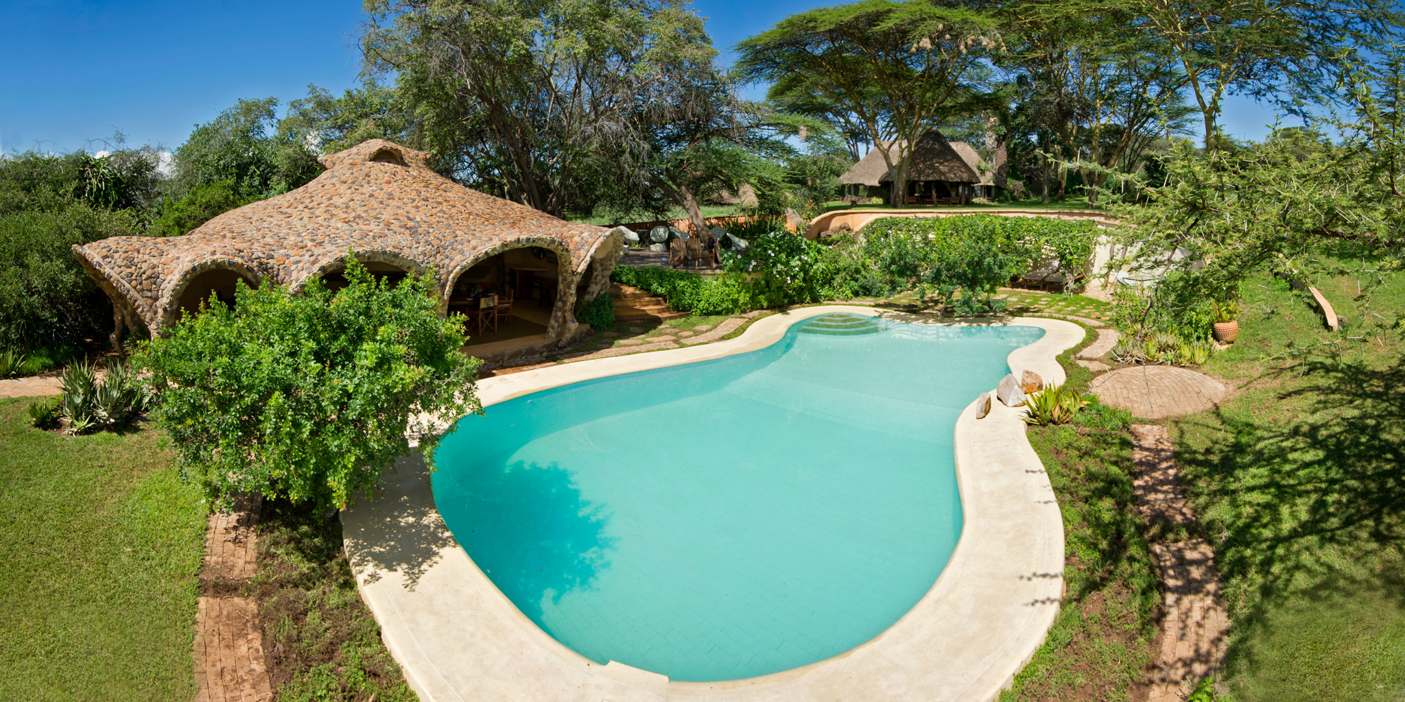 Lewa House swimming pool