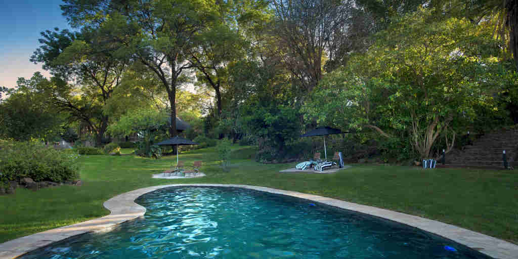 pool stanley and livingstone hotel zimbabwe yellow zebra safaris