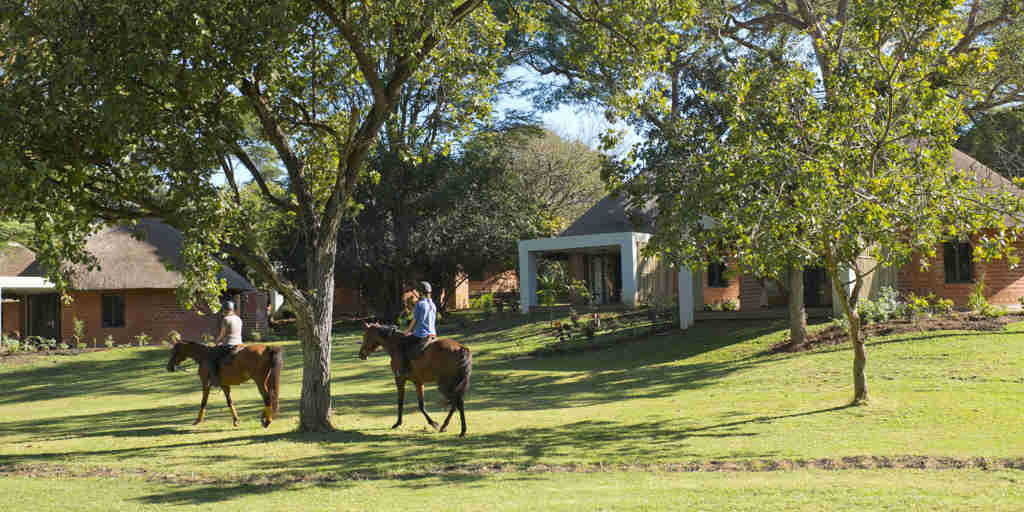 Lilayi Lodge | Lusaka Hotels, Zambia | Yellow Zebra Safaris Lilayi Lodge | Lusaka Hotels, Zambia | Yellow Zebra Safaris