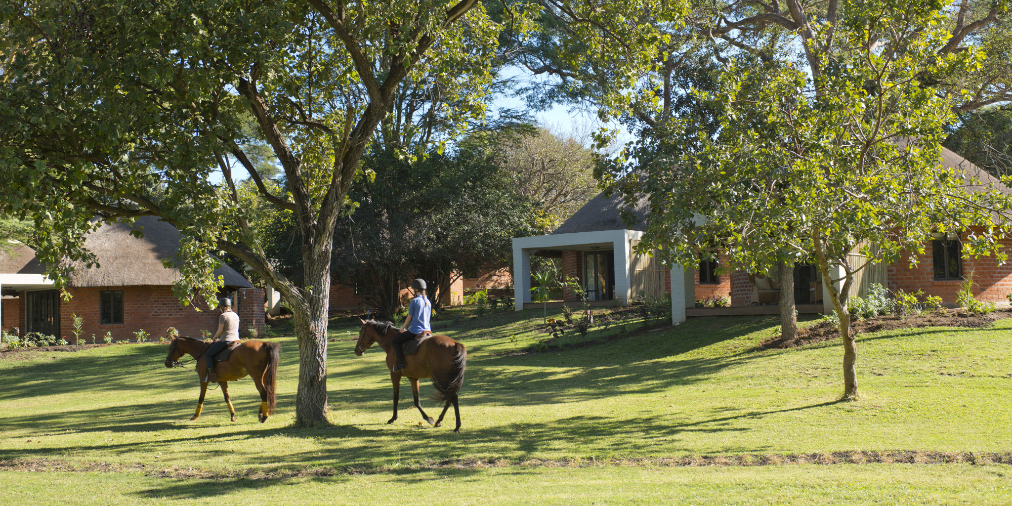 horse riding