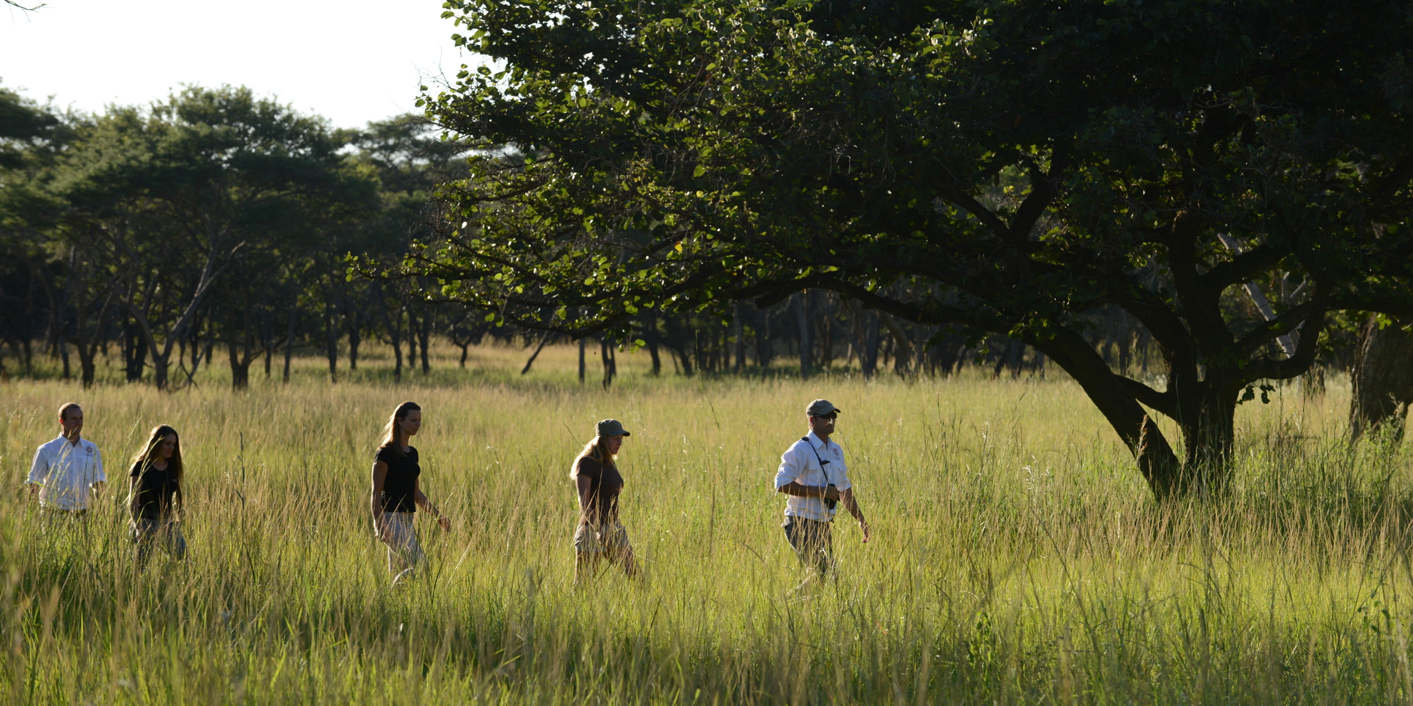 walking safari