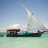 Dhow and Kayak safari full load