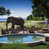 Nyamutsi pool