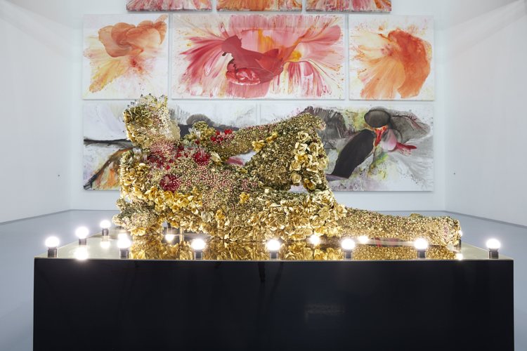 athi patra ruga zeitz mocaa cape town yellow zebra safaris