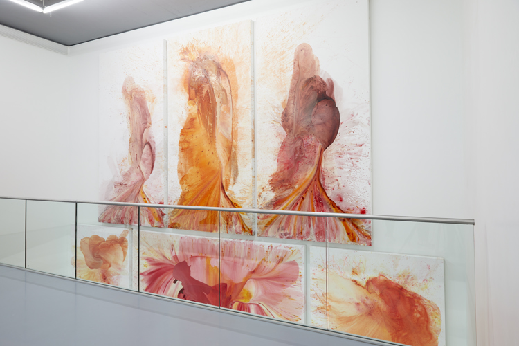 penny siopis zeitz mocaa cape town yellow zebra safaris