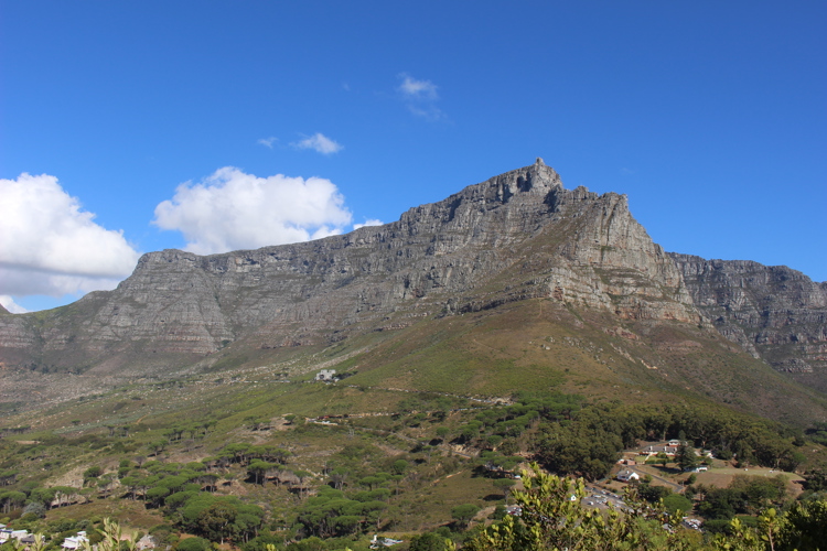 table mountain emma fam yellow zebra safaris