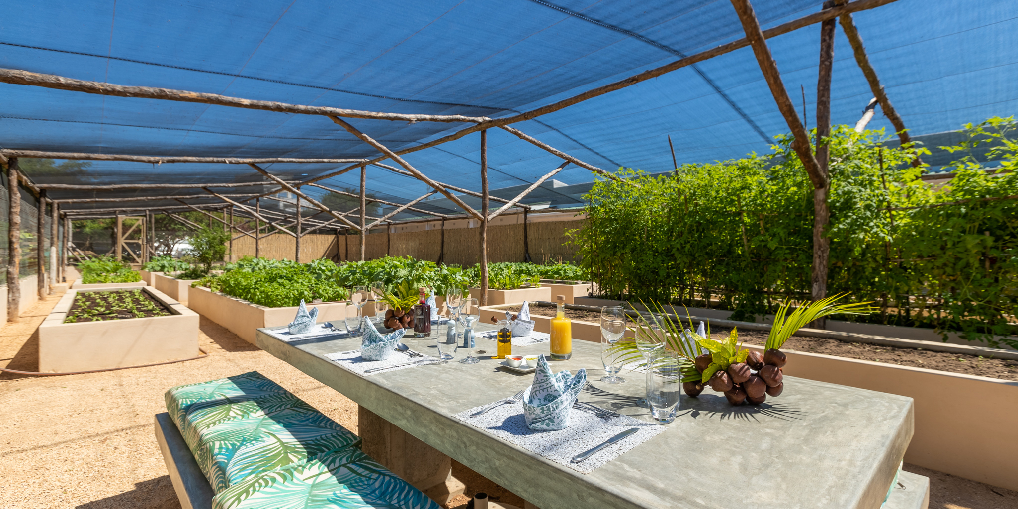 Santorini Mozambique food