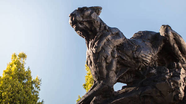winelands leeu house artwork yellow zebra safaris