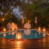 kanana pool botswana yellow zebra safaris