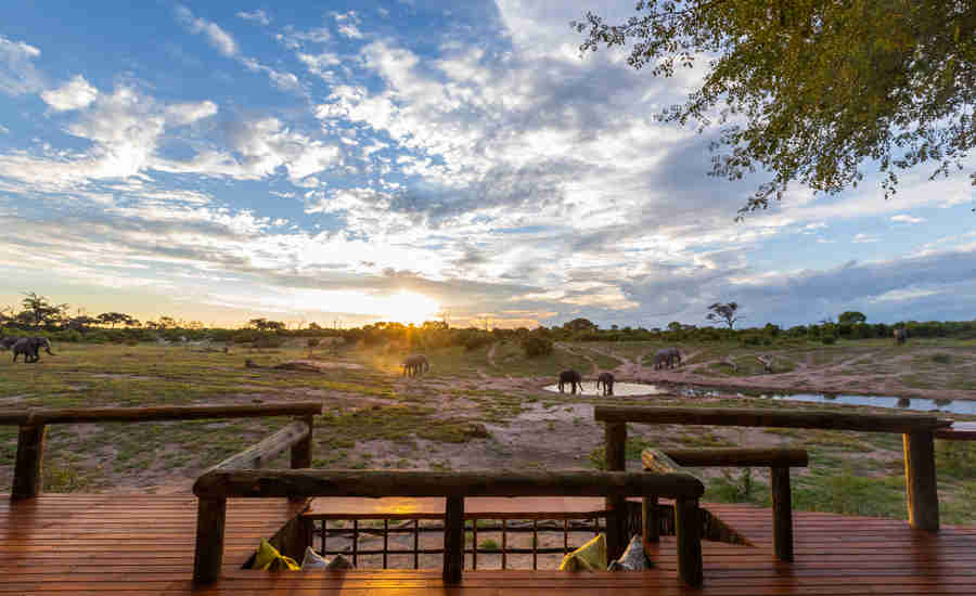 Botswana Elephants at Waterhole